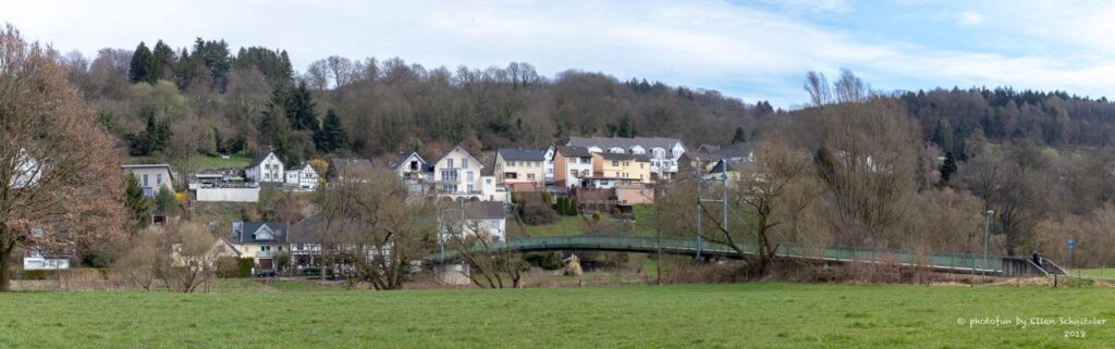 Blick aus den Siegauen auf Weingartsgasse. Die Bäume sind noch winterlich entkleidet, aber die ersten Vorboten des Frühlings zeigen sich bereits.
