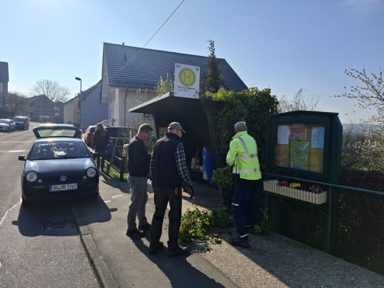 Frühjahrsputz bei Sonnenschein