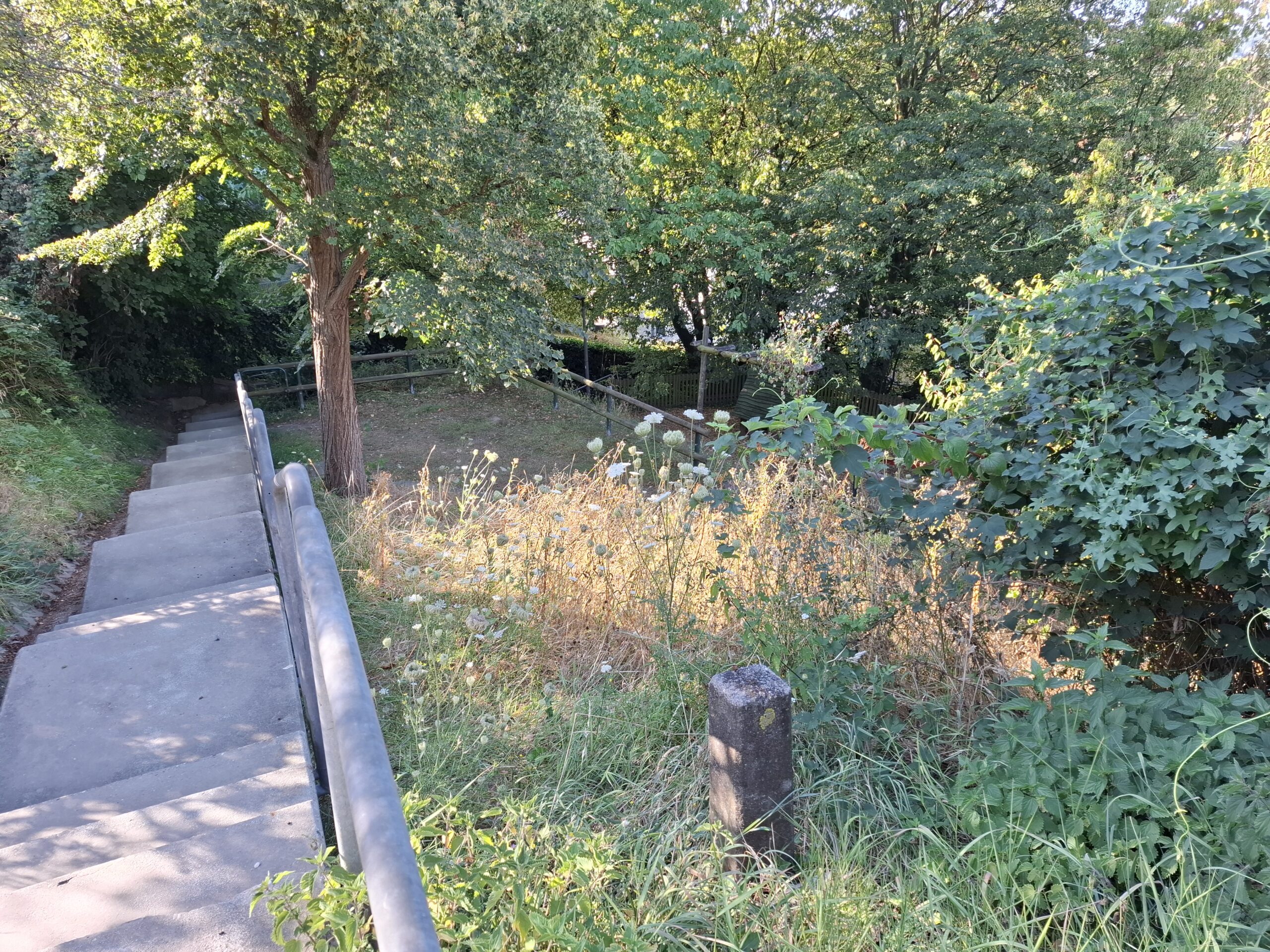 Gasse Määäähen